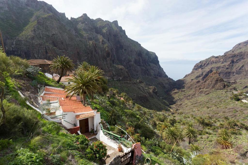 Traditional Canary Cottage In マスカ エクステリア 写真